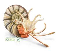 CollectA Pleuroceras Ammonite Figurine Collectable Toy