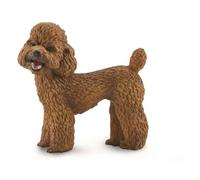 CollectA, Poodle, Collectable Dog Figurine Roleplay Toy