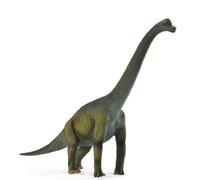 Collecta Prehistoric Life Brachiosaurus Toy Dinosaur Figure - Paleontologist Approved Hand Painted Model