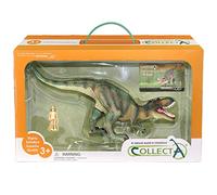 Collecta Prehistoric Life Tyrannosaurus Rex Deluxe 1:40 Scale Paleontologist Approved Dinosaur Model in Window Box