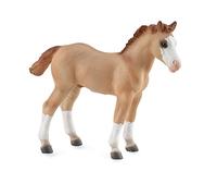 CollectA Quarter Foal - Red Dun