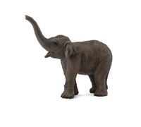 CollectA Asian Elephant Calf
