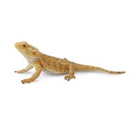 CollectA Bearded Dragon Lizard