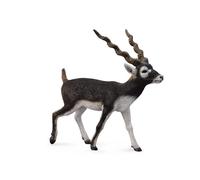 CollectA Realistic Animal Replica Blackbuck Antelope Figure Large Ages 3+