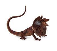 CollectA Realistic Animal Replica Frill Necked Lizard Figure Large Ages 3+