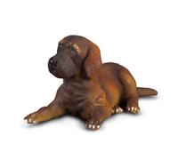 CollectA Realistic Animal Replica Great Dane Puppy Figure Small Ages 3+ and Up