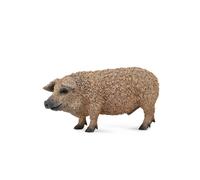 CollectA Realistic Animal Replica Hungarian Pig Figure Medium Ages 3+ and Up