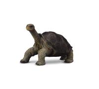 CollectA Realistic Animal Replica Island Tortoise George Figure Medium Ages 3+