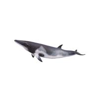 CollectA Realistic Animal Replica Minke Whale Figure Extra Large Ages 3+ and Up