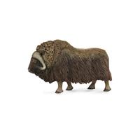 CollectA Wild animals Muskusos 13 cm