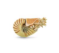 CollectA Realistic Animal Replica Nautilus Pompilius Figure Extra Large Ages 3+