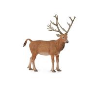 CollectA Realistic Animal Replica Pere Davids Deer Figure Large Ages 3+ and Up