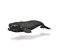 CollectA Realistic Animal Replica Right Whale Figure Extra Large Ages 3+ and Up