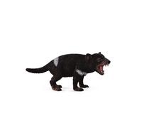 CollectA Realistic Animal Replica Tasmanian Devil Figure Medium Ages 3+ and Up