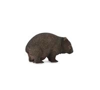 CollectA Realistic Animal Replica Wombat Figure Medium Ages 3 Years and Up