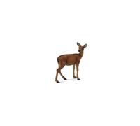 CollectA Red Deer Hind