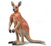 CollectA Red Kangaroo - Male