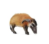 CollectA Realistic Animal Replica Red River Hog Figure Large Ages 3 Years and Up