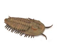 CollectA Redlichia Rex Trilobite, Collectable Prehistoric Figurine | Realistic Collectable Prehistoric Animal Figurine for Imaginative Play, Gift for Kids Age 3+