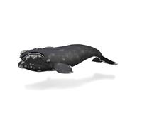 CollectA Right Whale