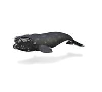 CollectA Right Whale