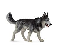 CollectA Siberian Husky