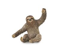 Collecta Figurine - Sloth - Realistic Large Animal Replica, Ages 3+