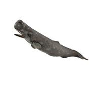 CollectA Sperm Whale