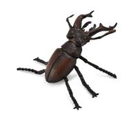 CollectA Stag Beetle, Insect Figure | Realistic Insect Toy, Collectable Animal Figure for Imaginative Play, Gift for Kids Age 3+