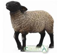 CollectA Suffolk Sheep - Pre-order approx. June 2013