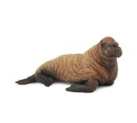 CollectA Walrus Calf