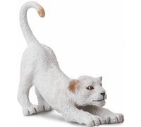 CollectA White Lion Cub Stretching