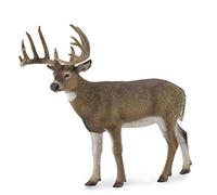 CollectA White-Tailed Deer