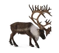 CollectA Woodland Caribou
