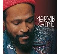 Marvin Gaye - Collected [VINYL]