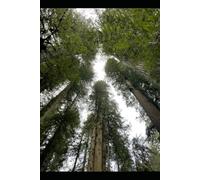 Collected Poems: Loving God and Wedding Night of Creation