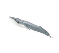 Collectible CollectA Blue Whale Figure Extra Large for Ages 3 Years and Up