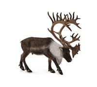 CollectA Woodland Caribou