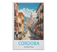 Collectibles Modern Home Decoration,Cordoba Argentina，Adults 1000 Piece Jigsaw Puzzle- Christmas，52x38，paper puzzle ，AA-577