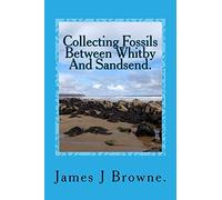 Collecting Fossils Between Whitby And Sandsend.: A Beginner's Guide.