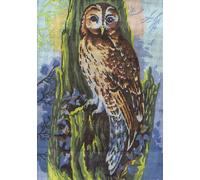 Collection D'Art Tapestry Kit Owl, 100 Percent Cotton, Multi-Colour, 38 x 25 x 0.5 cm