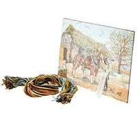 Collection D'Art Tapestry kit Shire Horse, 100% Cotton, Multi-Colour, 38 x 25 x 0.5 cm