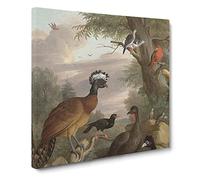 Collection Of Birds Vol.1 by Melchior d'Hondecoeter Canvas Print | Gallery Wrapped 30mm Frame Wall Art | 20x20 inches | Ready to Hang | Classic Bird Picture | Living Room Bedroom Lounge Office