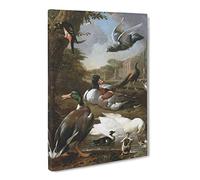 Collection Of Birds Vol.2 By Melchior D'Hondecoeter Canvas Print | Gallery Wrapped 30mm Frame Wall Art | 24x16 inches | Ready to Hang | Classic Bird Picture | Living Room Bedroom Lounge Office