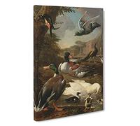 Collection Of Birds Vol.2 By Melchior D'Hondecoeter Canvas Print | Gallery Wrapped 30mm Frame Wall Art | 30x20 inches | Ready to Hang | Classic Bird Picture | Living Room Bedroom Lounge Office