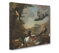Collection Of Birds Vol.2 by Melchior d'Hondecoeter Canvas Print | Gallery Wrapped 30mm Frame Wall Art | 20x20 inches | Ready to Hang | Classic Bird Picture | Living Room Bedroom Lounge Office