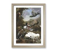 Collection Of Birds Vol.2 By Melchior D'Hondecoeter Classic Painting Framed Print | A3 Oak Framed Wall Art | Ready to Hang | Classic Historical Picture | Living Room Bedroom Lounge Office