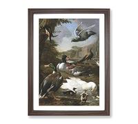 Collection Of Birds Vol.2 By Melchior D'Hondecoeter Classic Painting Framed Wall Art Print, Ready to Hang Picture for Living Room Bedroom Home Office Décor, Walnut A3 (34 x 46 cm)