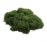 Collective Fake Moss, Artificial Moss for indoor plant pots, Fake Green Moss Artificial Craft Moss for Terrarium Floral Decor Model Landscape Table Decoration(100g)