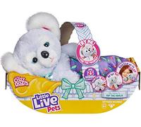 COLLECTOR Little live- Cozy dozys. KIP the Koala - The cuddly Koala bear that is so playful and the perfect bedtime buddy. With over 25 sounds and reactions!